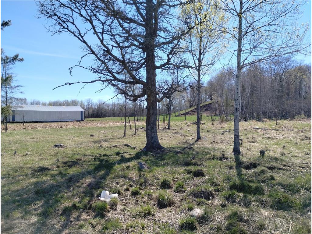 18134 170th Street Pliny Twp MN 56350 7066715 image48