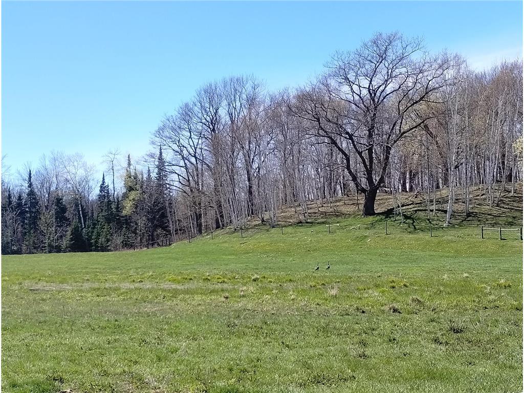 18134 170th Street Pliny Twp MN 56350 7066715 image55