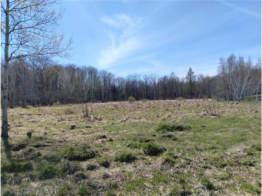 18134 170th Street Pliny Twp MN 56350 7066715 image57