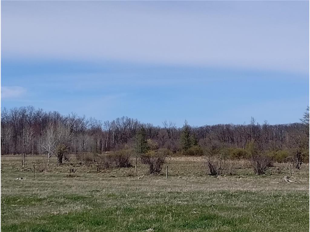 18134 170th Street Pliny Twp MN 56350 7066715 image61