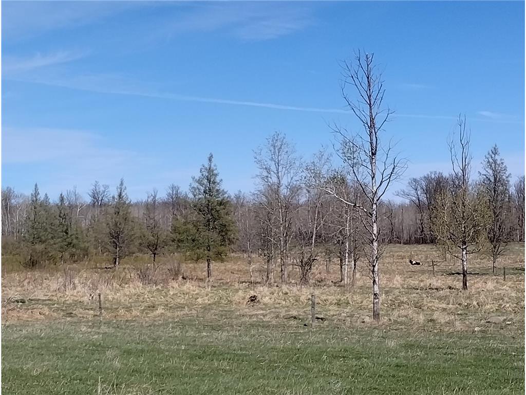 18134 170th Street Pliny Twp MN 56350 7066715 image62