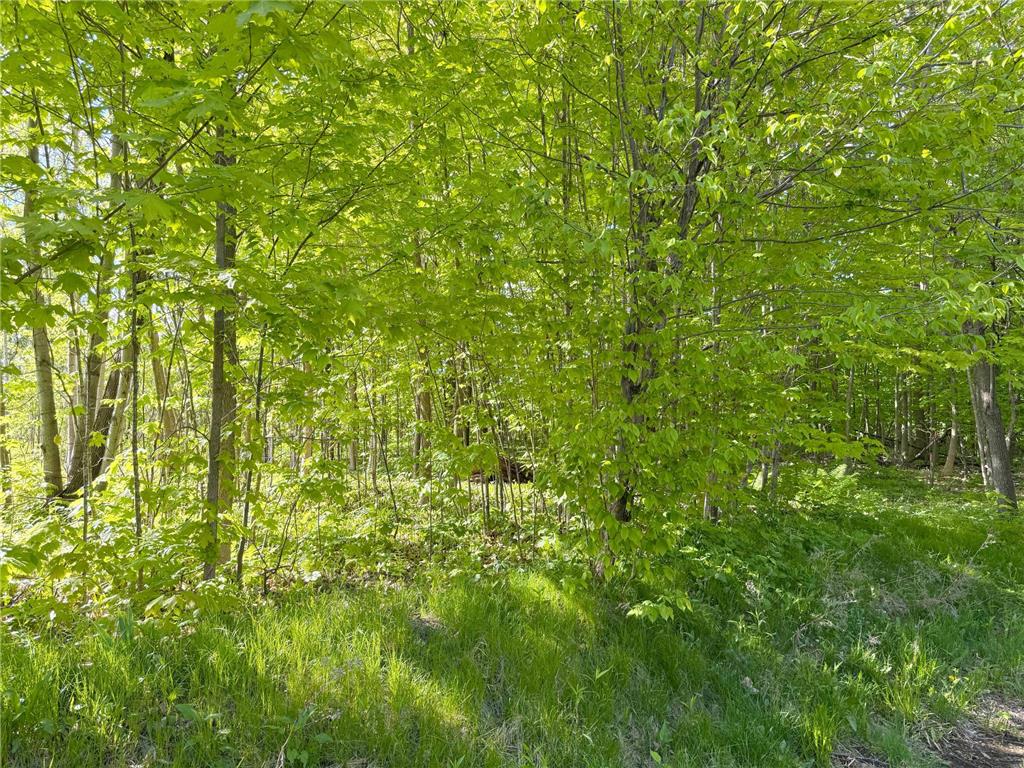 18134 Marina Way Garrison MN 56450 - Mille Lacs Lake 7062830 image46