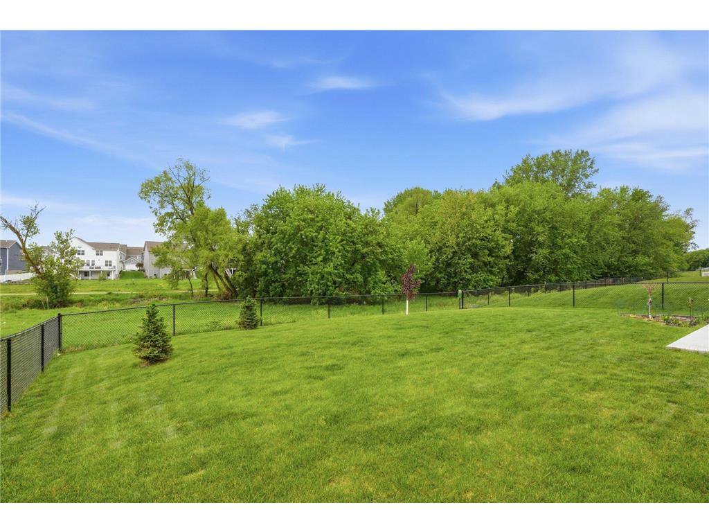 18137 Hidden Creek Trail Lakeville MN 55044 7067267 image37