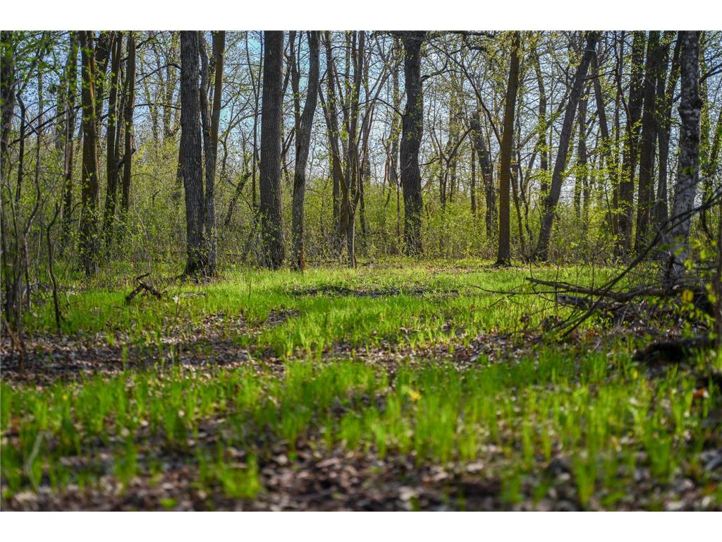 18156 420th Street SE Garden Twp MN 56592 - Maltrod 7076938 image44