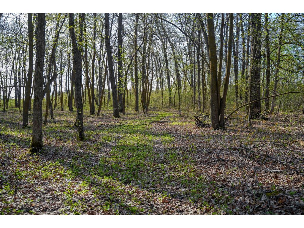 18156 420th Street SE Garden Twp MN 56592 - Maltrod 7076938 image45