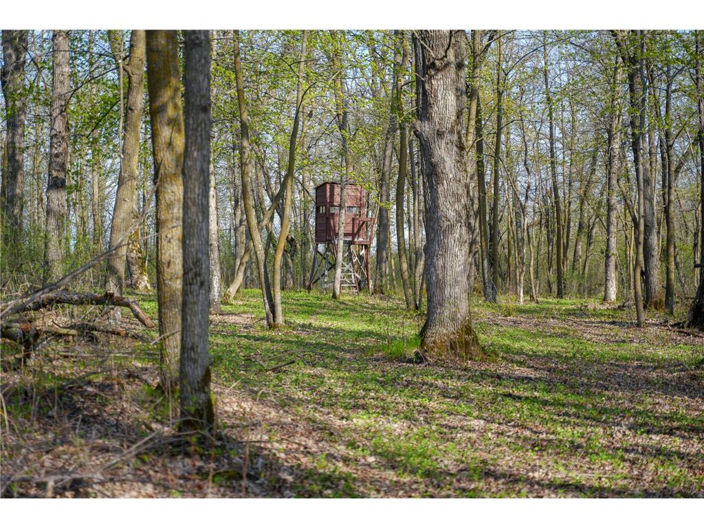 18156 420th Street SE Garden Twp MN 56592 - Maltrod 7076938 image46