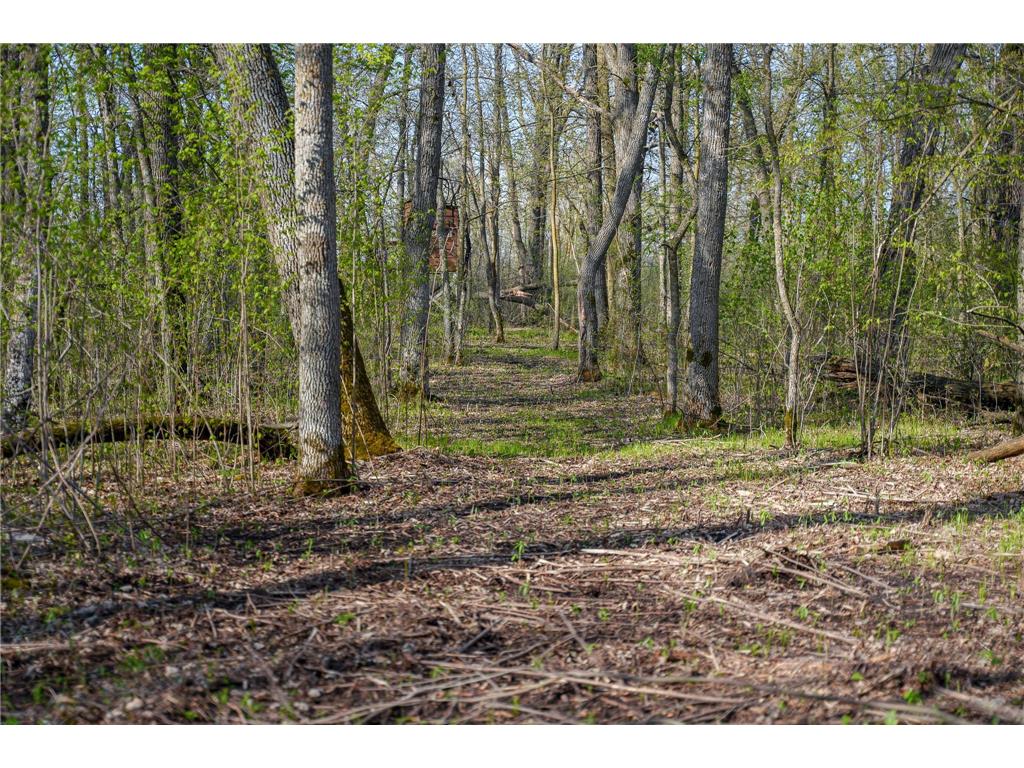 18156 420th Street SE Garden Twp MN 56592 - Maltrod 7076938 image47