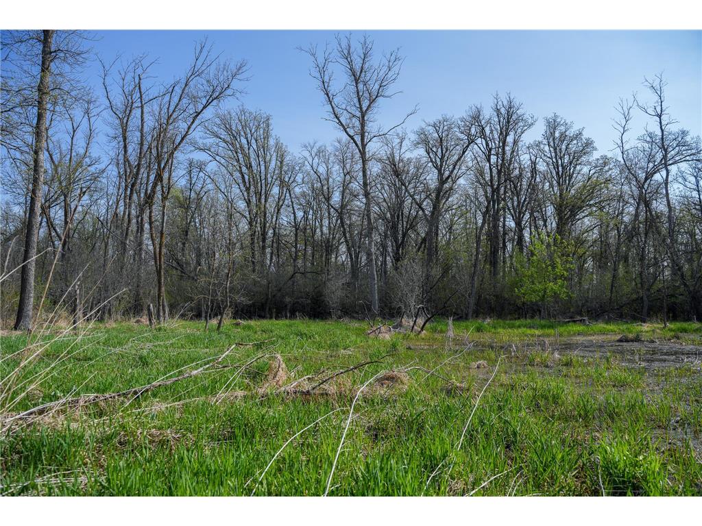 18156 420th Street SE Garden Twp MN 56592 - Maltrod 7076938 image48