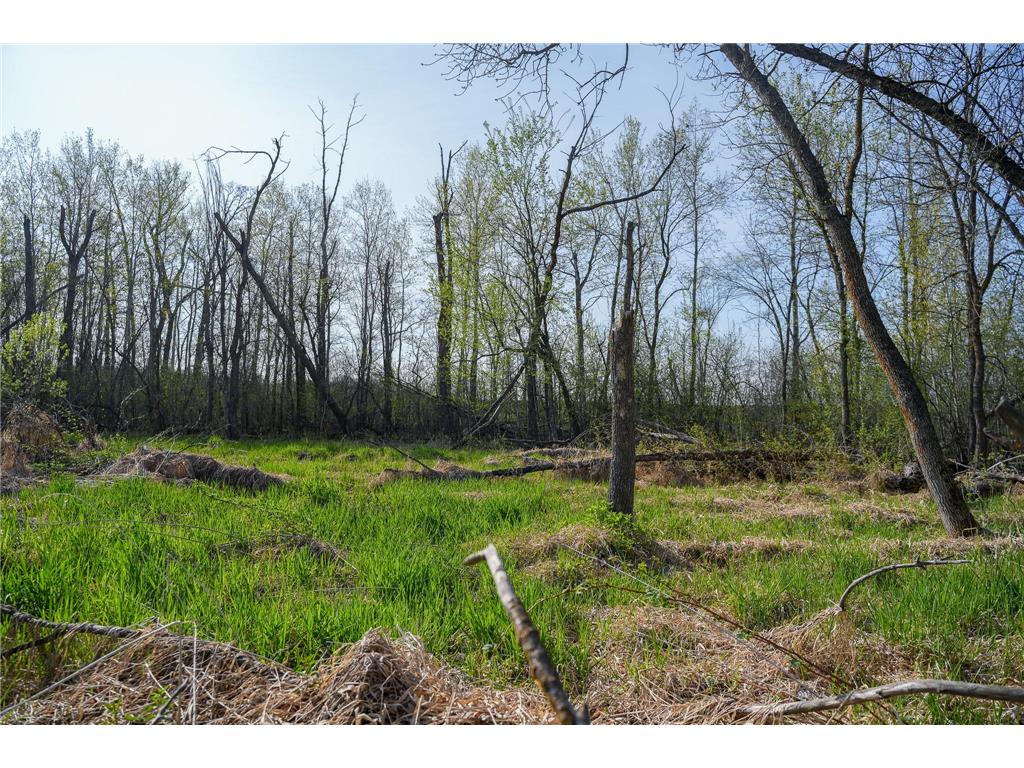 18156 420th Street SE Garden Twp MN 56592 - Maltrod 7076938 image49