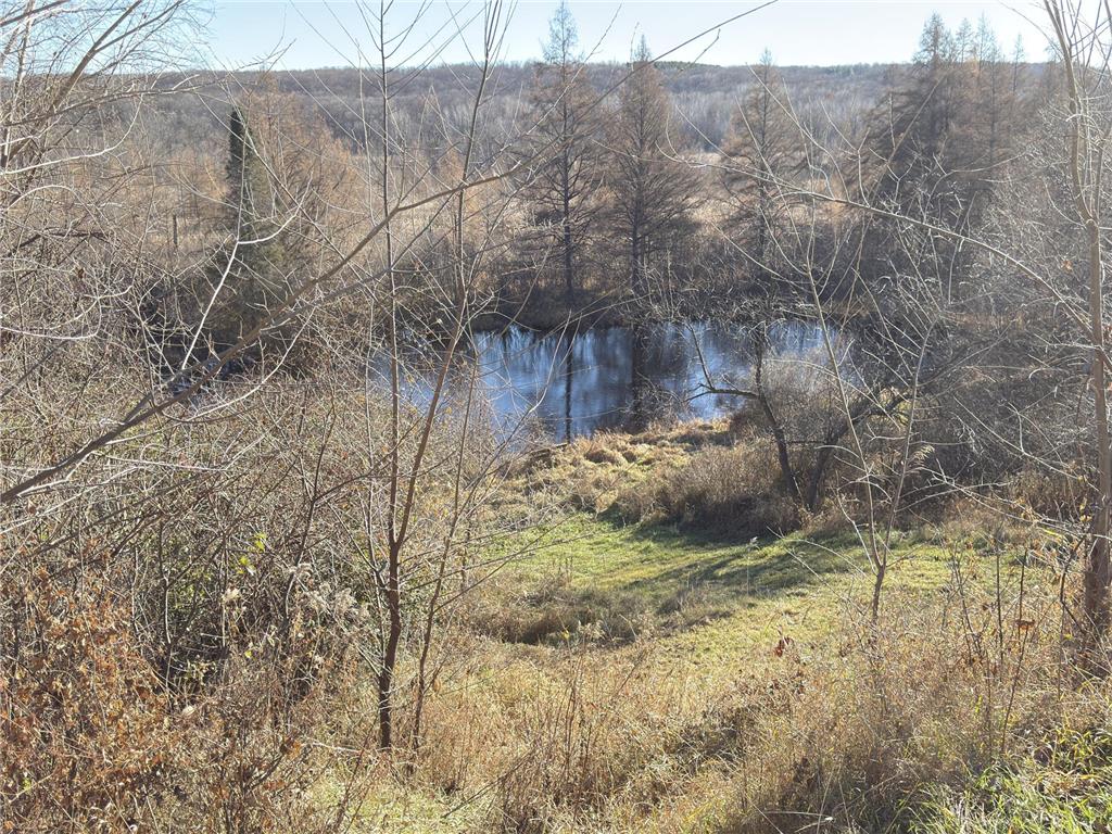 1816 300th Avenue Laketown Twp WI 54837 6818541 image15