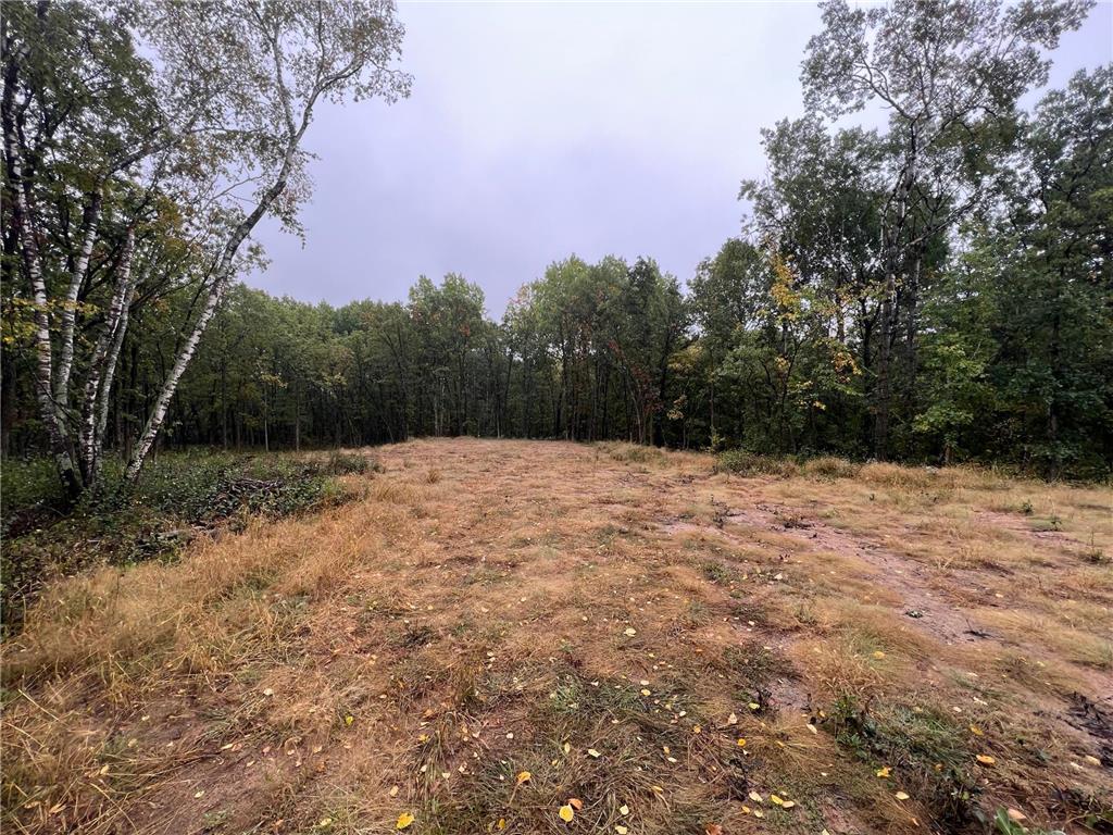 18164 Elm Trail Nevis Twp MN 56467 6440996 image1