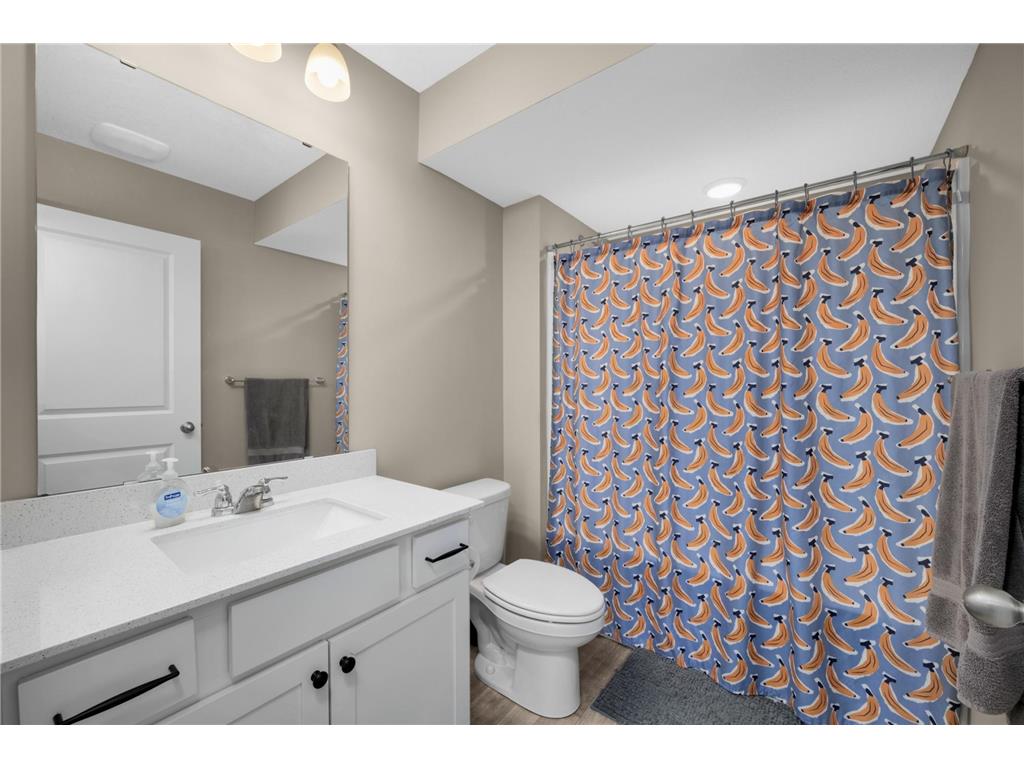 18184 Hartlin Avenue Lakeville MN 55044 7045704 image32