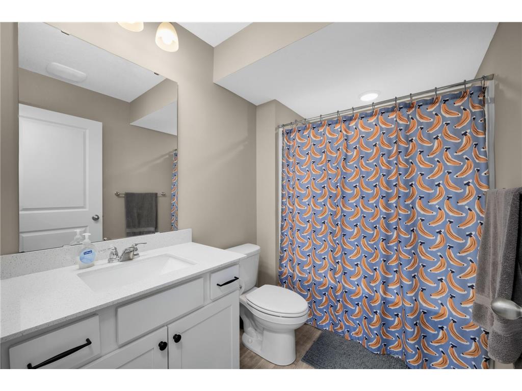 18184 Hartlin Avenue Lakeville MN 55044 7092311 image32