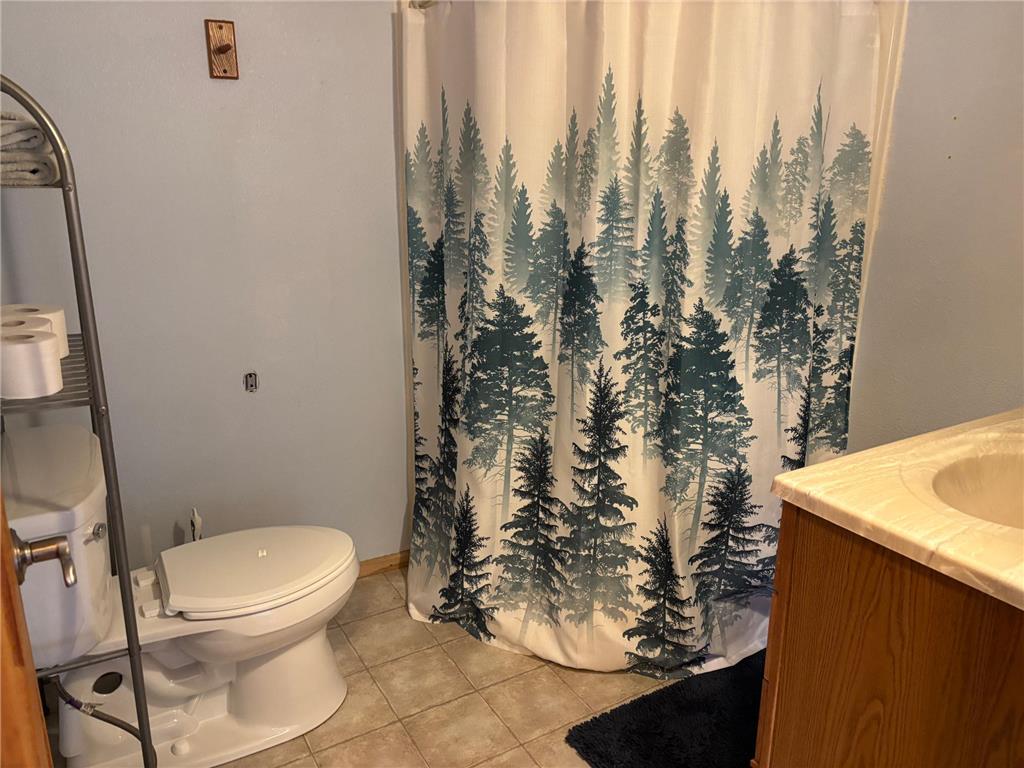 18196 N Blackduck Lake Road NE Hines Twp MN 56647 - Blackduck Lake 7008750 image22