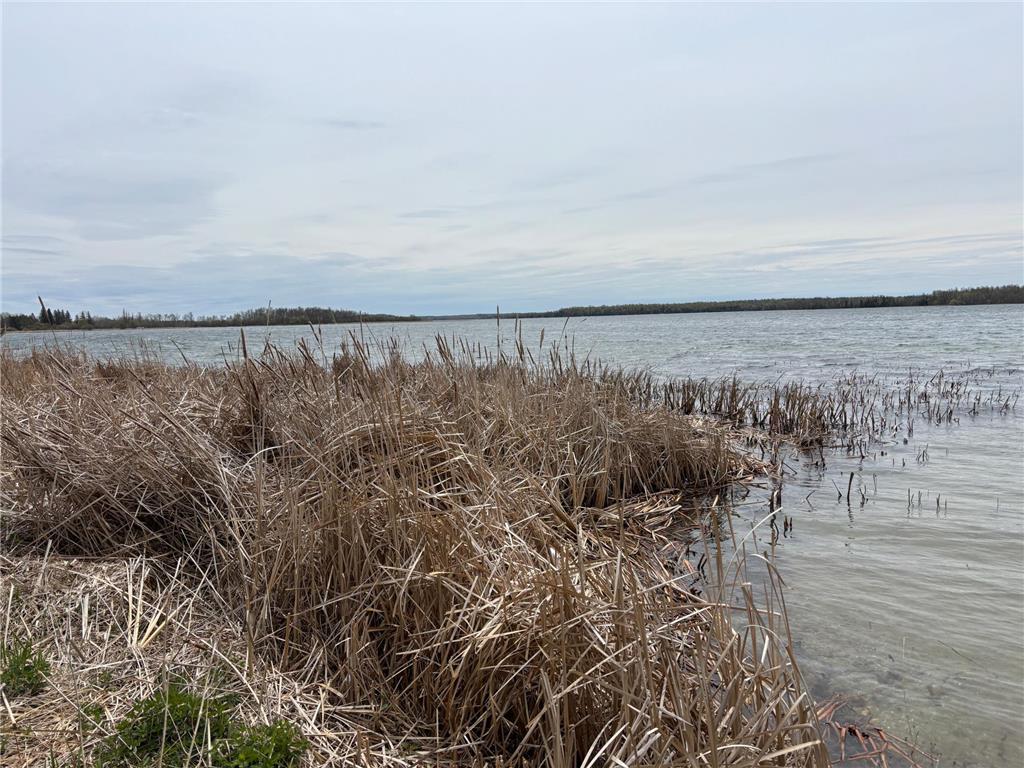 18196 N Blackduck Lake Road NE Hines Twp MN 56647 - Blackduck Lake 7008750 image31
