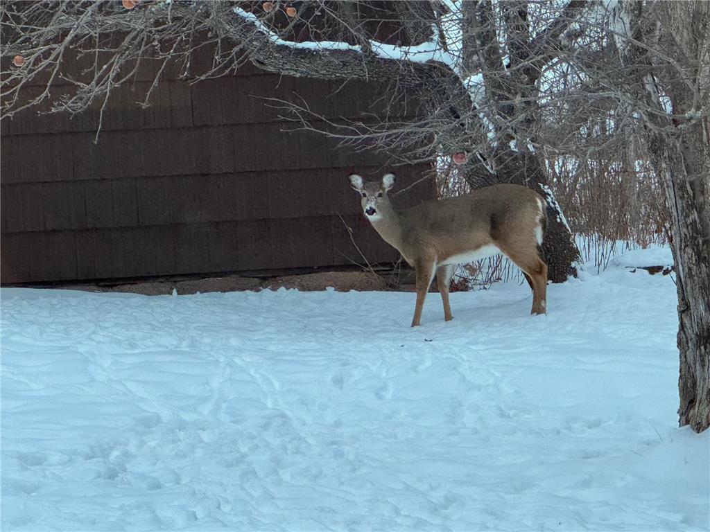 1820 Mary Street Beaver Bay MN 55601 - Superior 7022121 image37