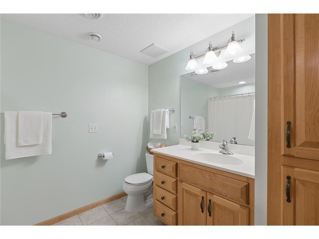 18205 39th Avenue N Plymouth MN 55446 7089464 image31
