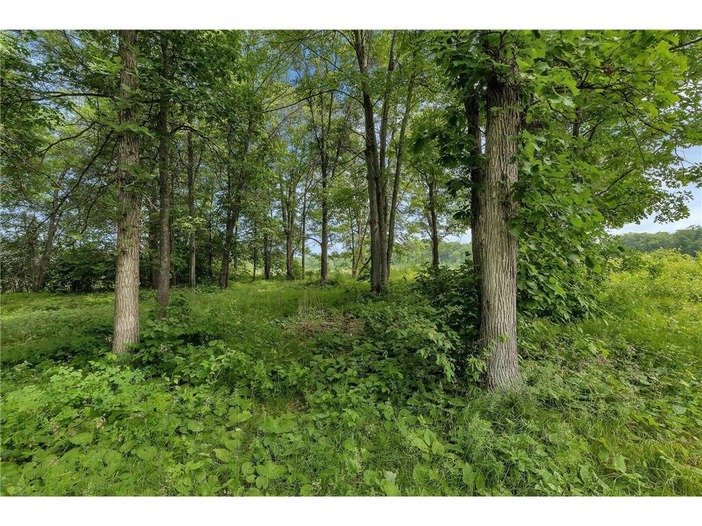 18208 Sleepy Trail Irondale Twp MN 56455 6413695 image1