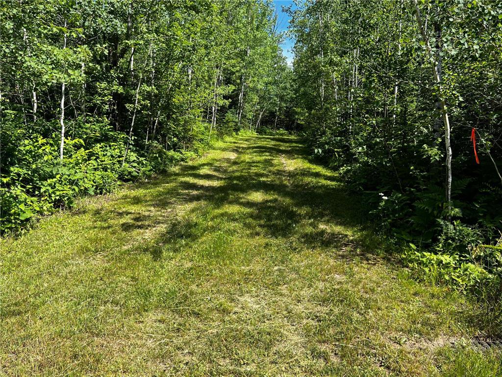 18219 Majestic Hideaway Way Nashwauk MN 55769 - South Fork 7018257 image18