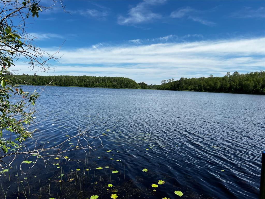 18219 Majestic Hideaway Way Nashwauk MN 55769 - South Fork 7018257 image27