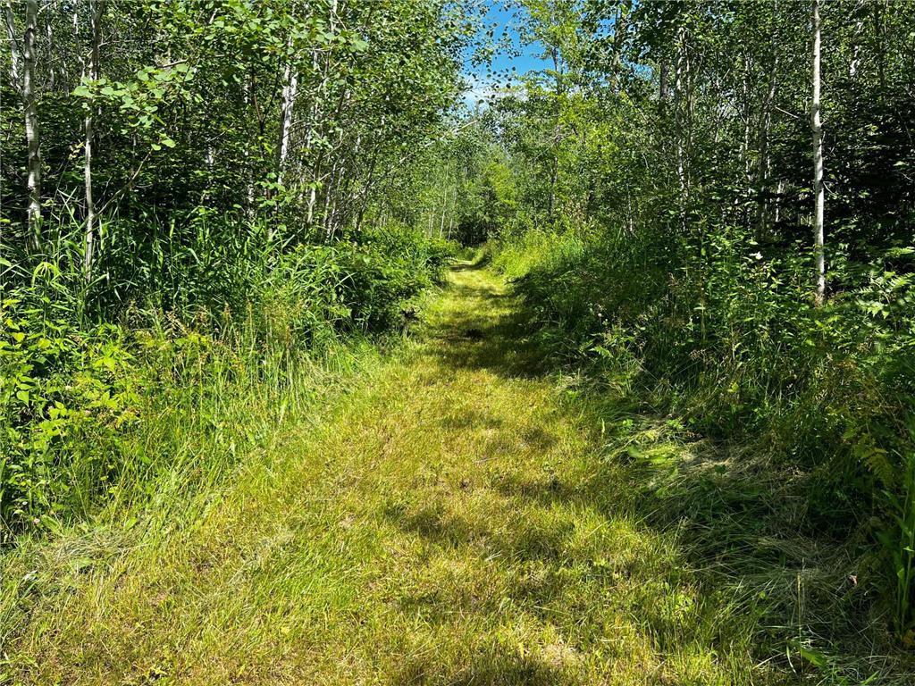 18219 Majestic Hideaway Way Nashwauk MN 55769 - South Fork 7018257 image29