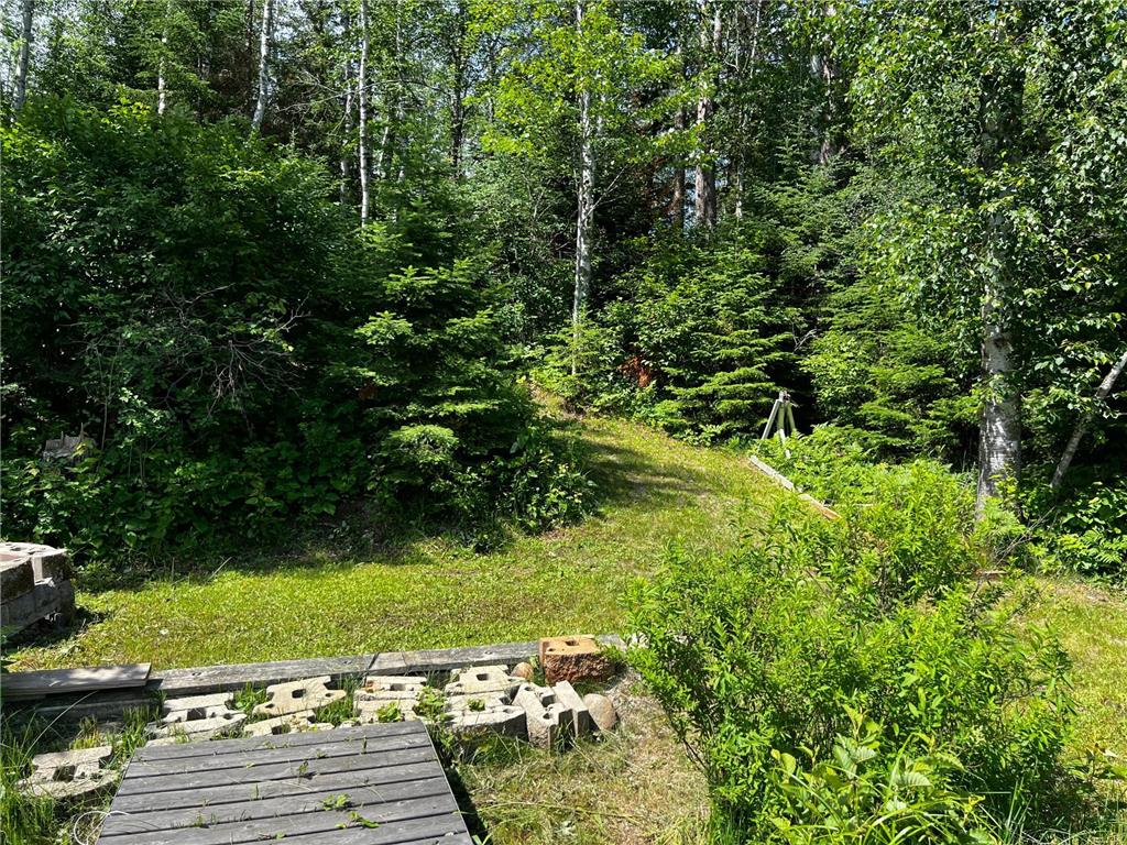 18219 Majestic Hideaway Way Nashwauk MN 55769 - South Fork 7018257 image30