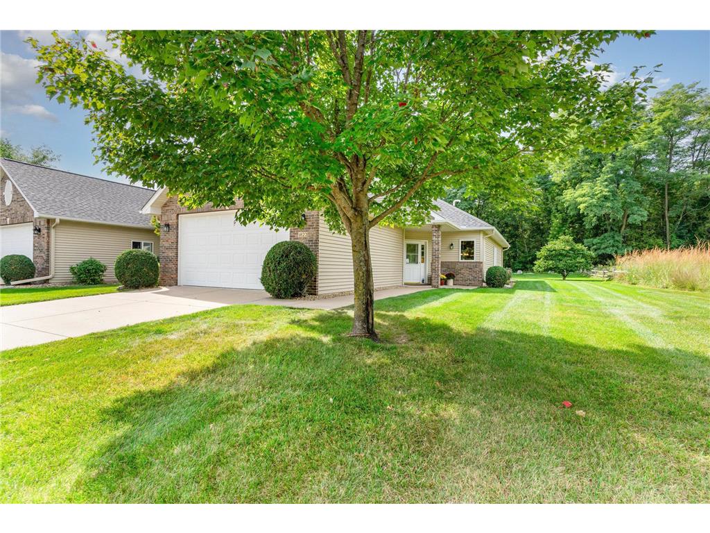 1822 Bohmbach Drive Red Wing MN 55066 6822670 image1