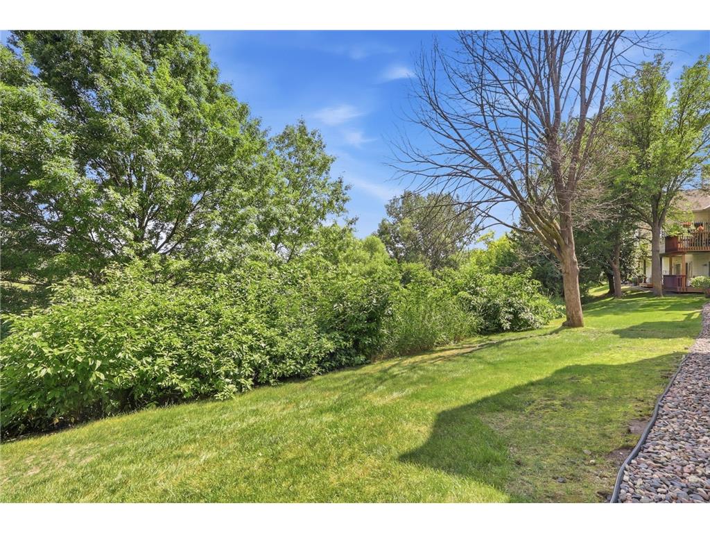 18220 Cattail Court Eden Prairie MN 55346 7115273 image57