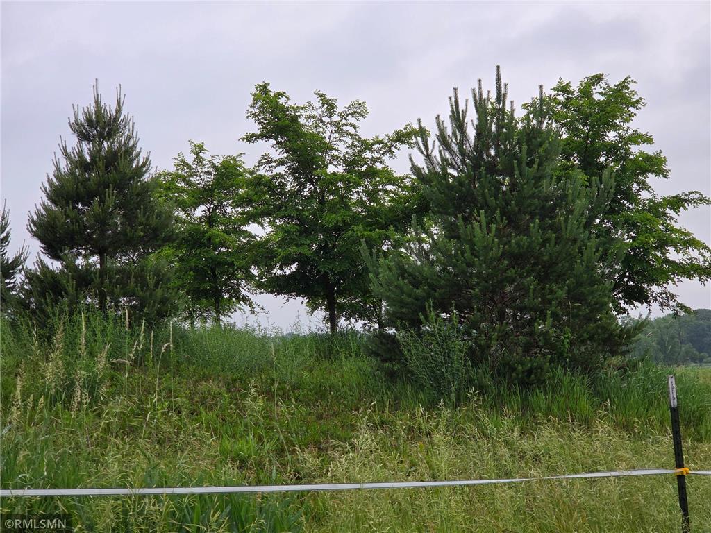 18222A 484th Waterville Twp MN 56096 7097497 image23