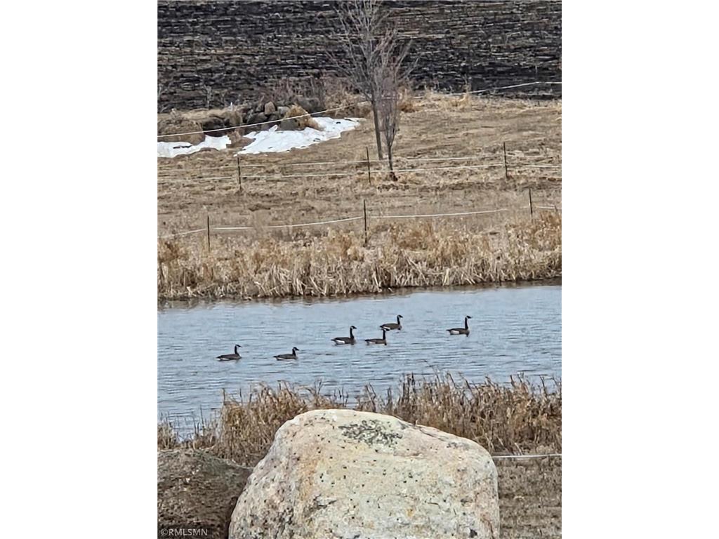 18222A 484th Waterville Twp MN 56096 7097497 image30