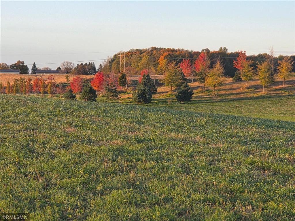18222A 484th Waterville Twp MN 56096 7097497 image32