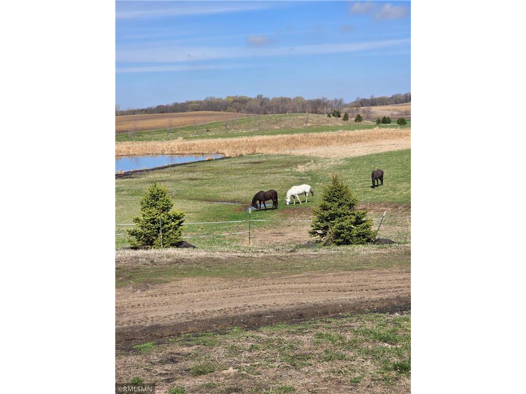 18222A 484th Waterville Twp MN 56096 7097497 image43