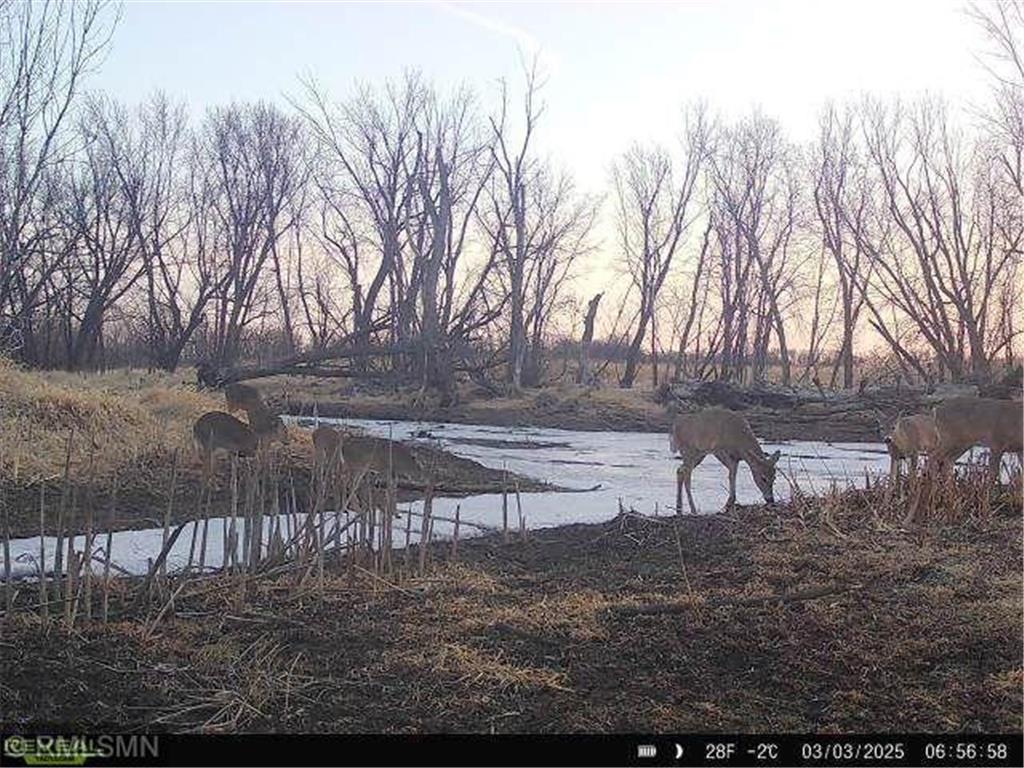 18222 484th Lane Waterville MN 56096 - Cannon River 7088454 image27