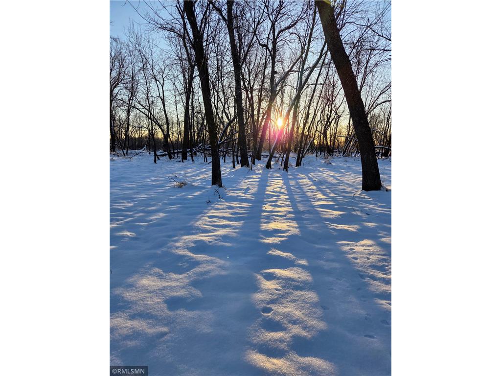 18222 484th Lane Waterville MN 56096 - Cannon River 7088454 image44