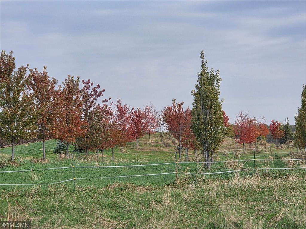 18222 484th Lane Waterville MN 56096 - Cannon River 7088454 image45