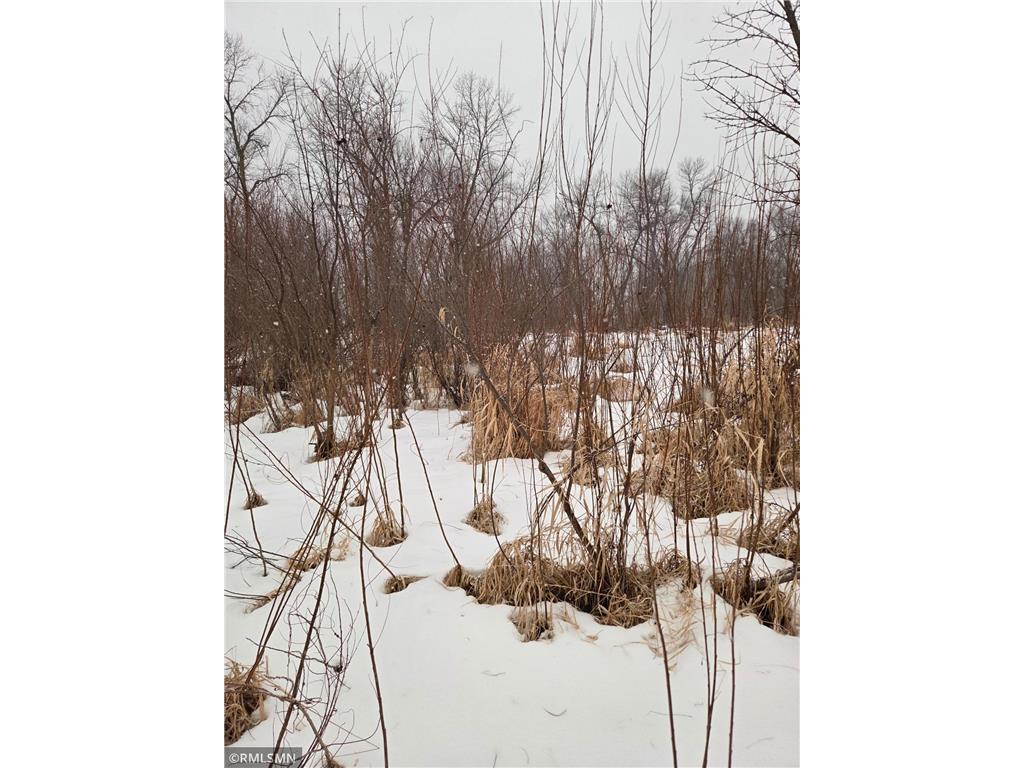 18222 484th Lane Waterville MN 56096 - Cannon River 7088454 image61