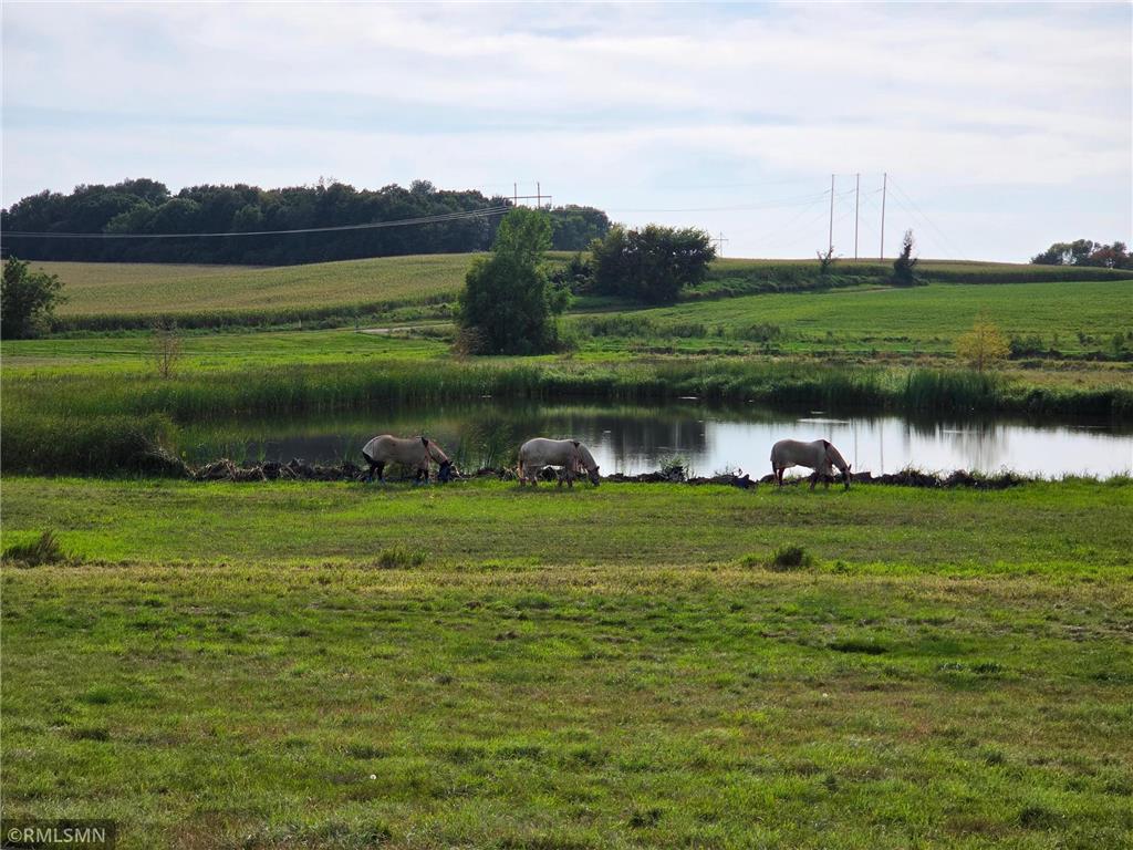 18222 484th Lane Waterville MN 56096 - Cannon River 7088454 image65