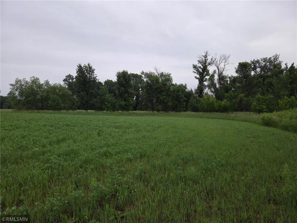 18222 484th Lane Waterville MN 56096 - Cannon River 7088454 image68