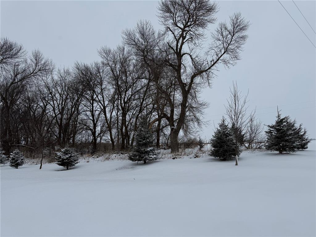 1825 210th Street Madison MN 56256 7030868 image71