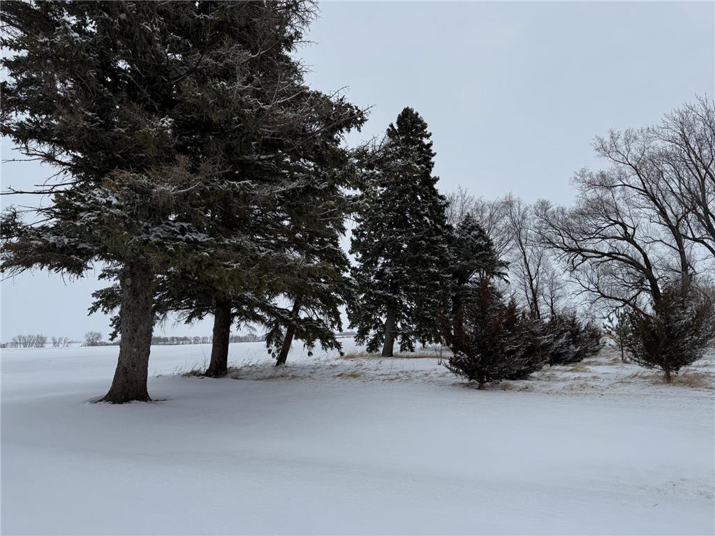 1825 210th Street Madison MN 56256 7030868 image72