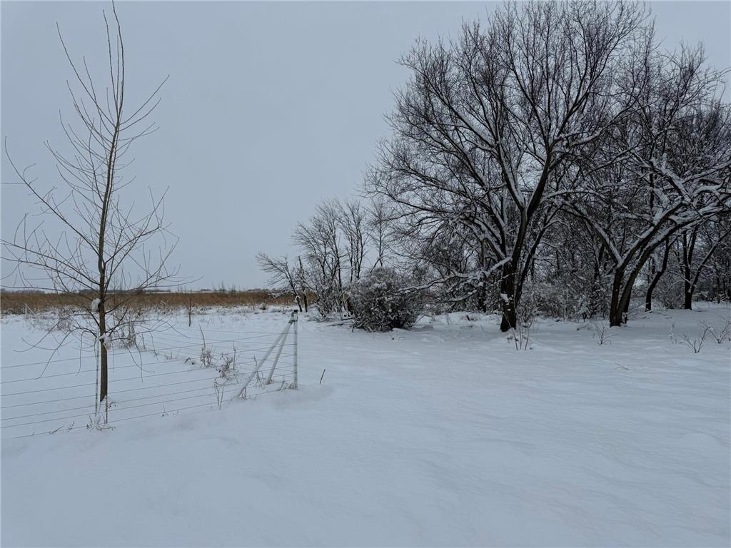 1825 210th Street Madison MN 56256 7030868 image80