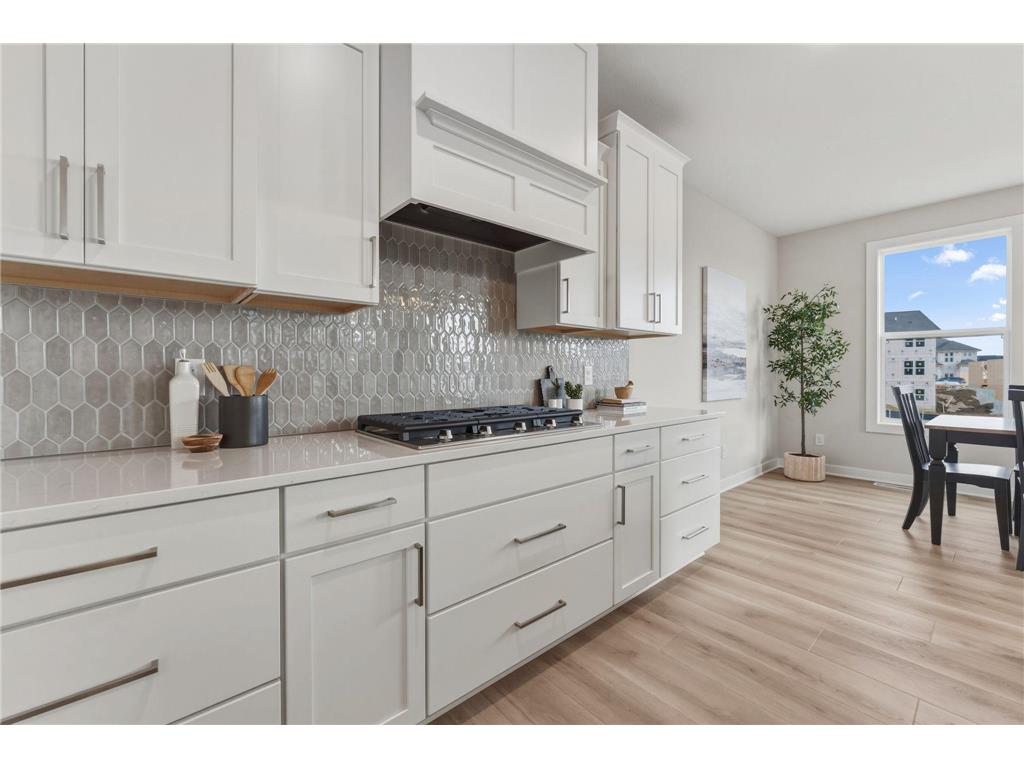 18250 102nd Place N Maple Grove MN 55311 7104059 image8