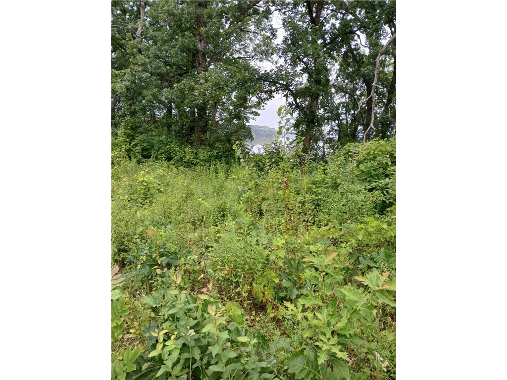 18261 US Hwy 69 Albert Lea MN 56007 - Pickeral Lake 6573981 image1