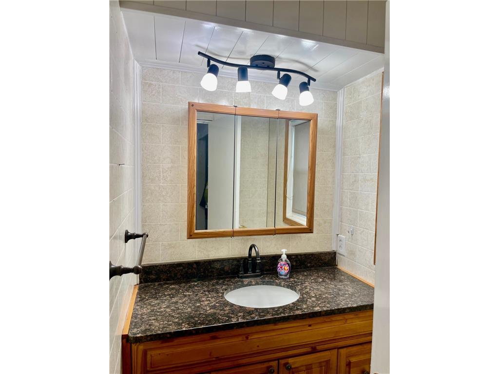 18267 Knauf Avenue Summit Lake Twp MN 56165 6781950 image17