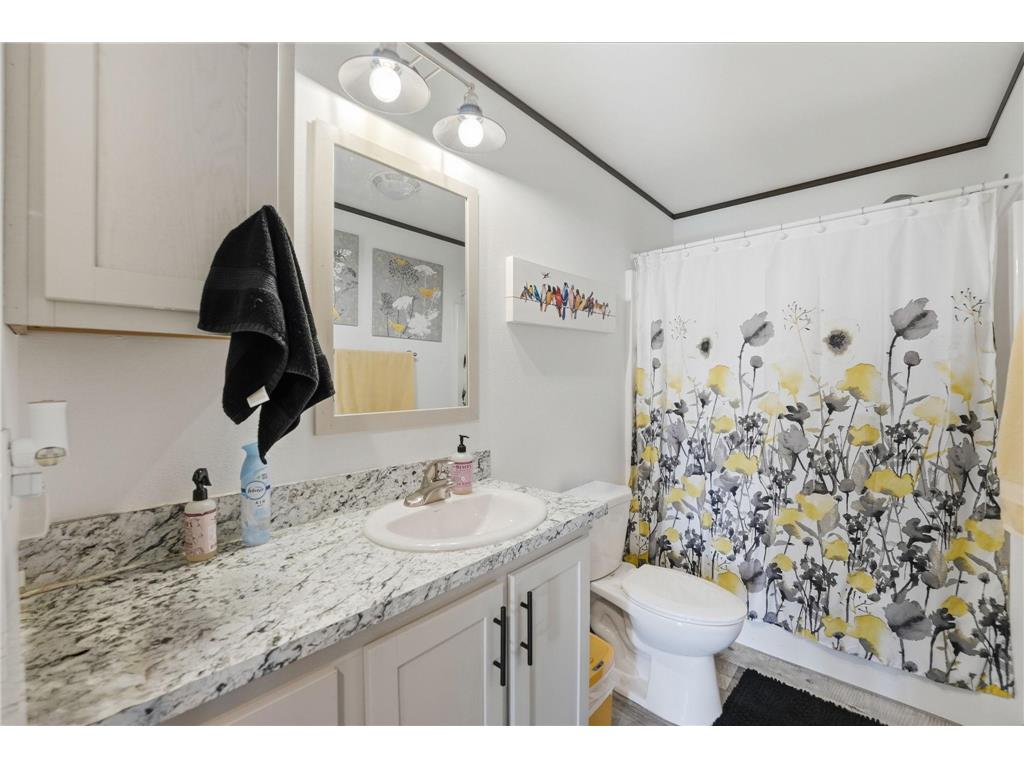 18276 County 37 Osakis MN 56360 - Sauk River 7058099 image17