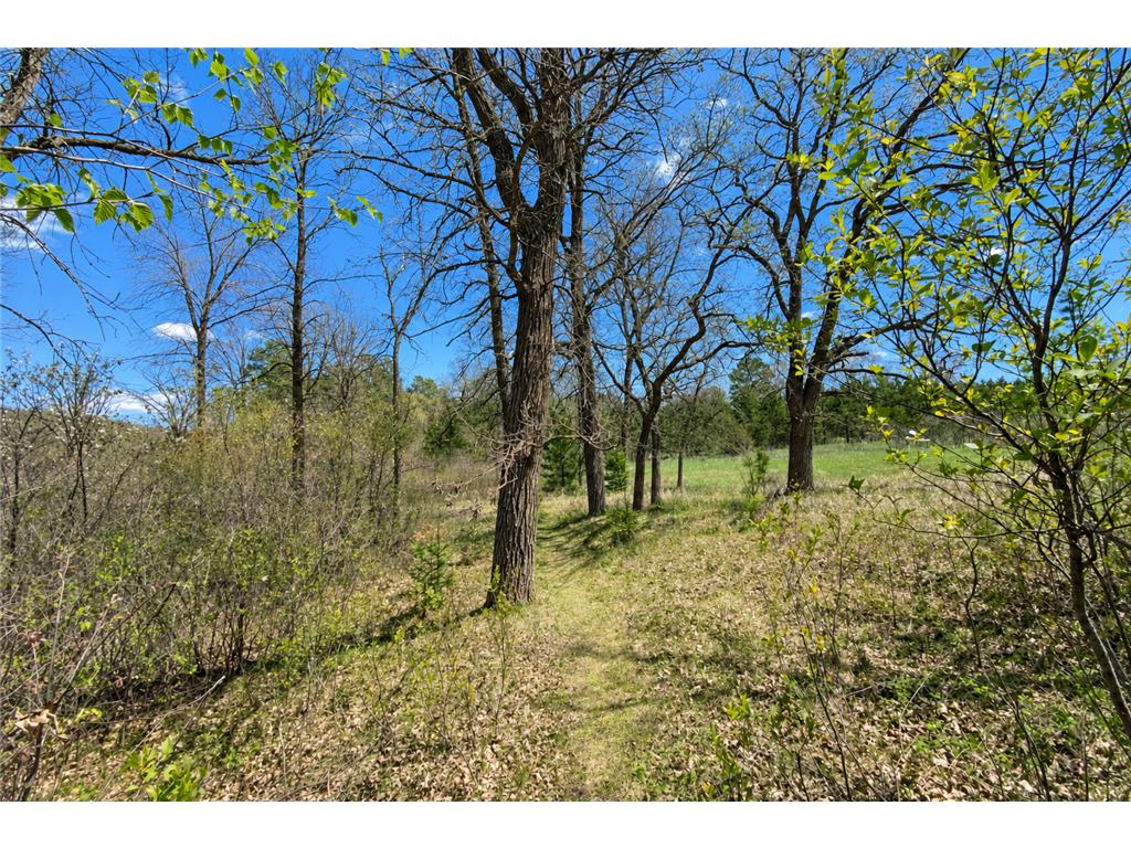 18280 County 11 Park Rapids MN 56470 - Peysenske 7082739 image14