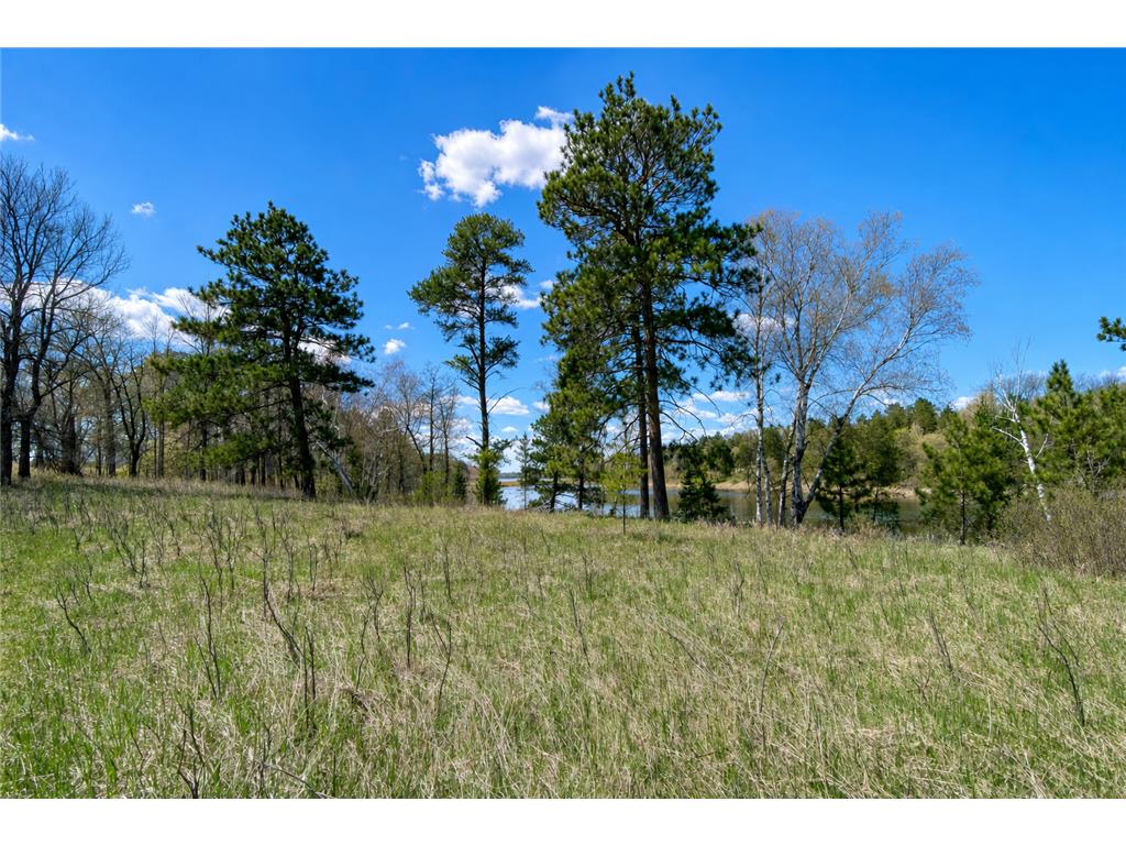 18280 County 11 Park Rapids MN 56470 - Peysenske 7082739 image15