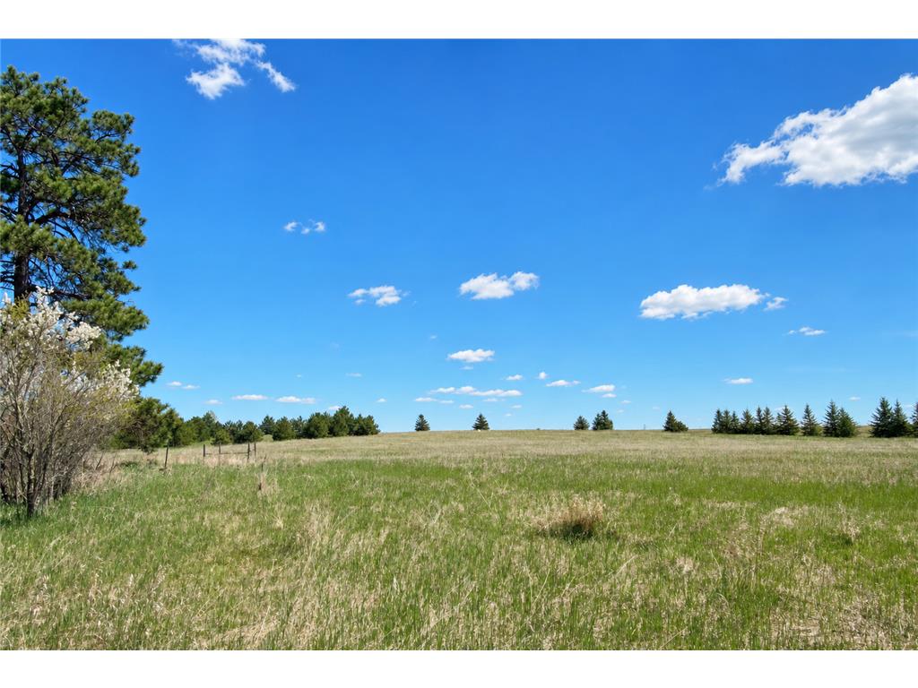 18280 County 11 Park Rapids MN 56470 - Peysenske 7082739 image20