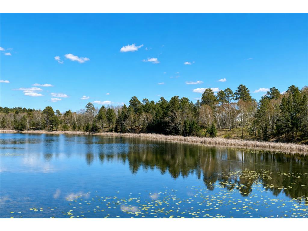 18280 County 11 Park Rapids MN 56470 - Peysenske 7082739 image4