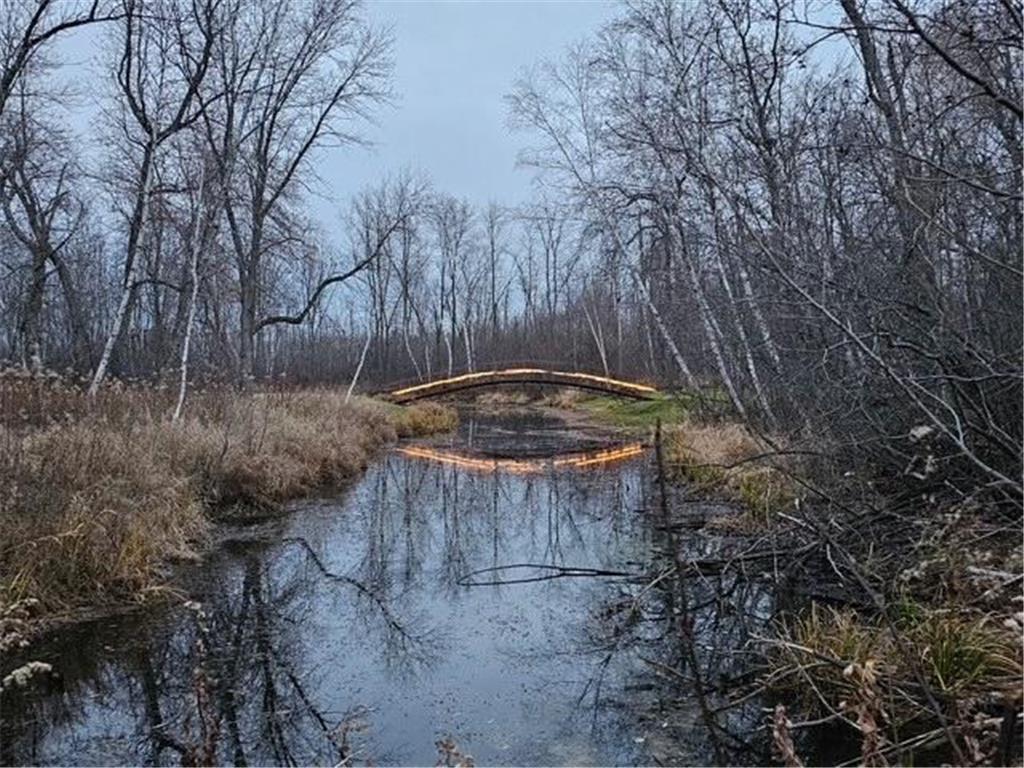 18286 Johnson Road Brainerd MN 56401 - North Long 7059182 image65